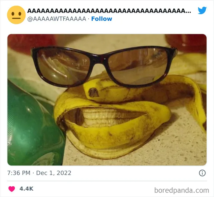 40 Random Pics From The Internet That Are So Weird They're Funny, As Shared On This Twitter Account