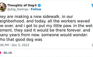 40 Of The Most Hilarious And Wholesome Dog Thoughts, As Shared By This Twitter Account (New Pics)