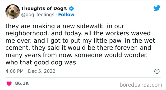 40 Of The Most Hilarious And Wholesome Dog Thoughts, As Shared By This Twitter Account (New Pics)