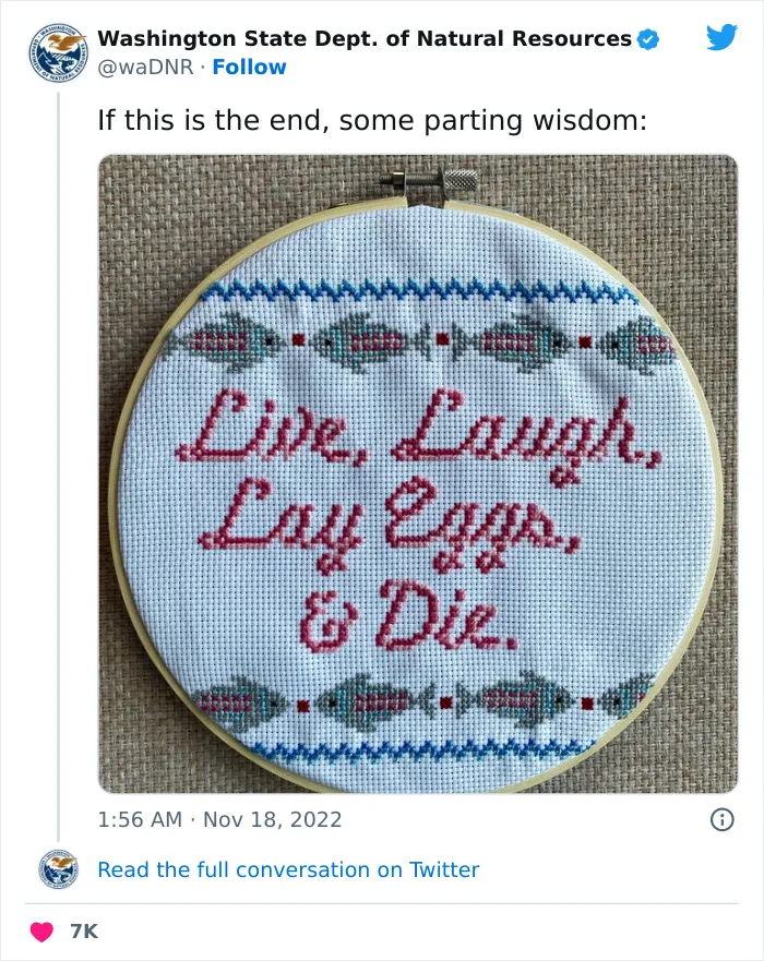 The Washington Department Of Natural Resources Twitter Has People In Stitches With These 41 Tweets