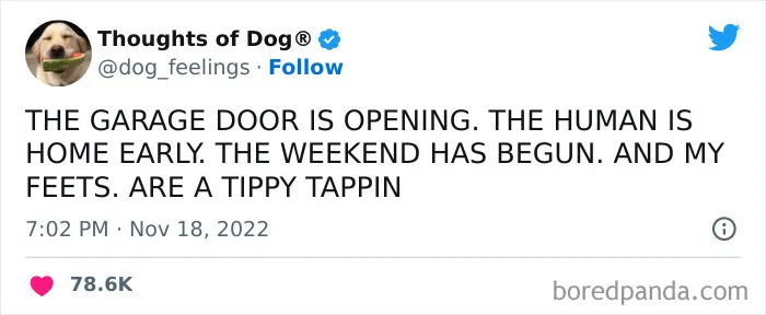 40 Of The Most Hilarious And Wholesome Dog Thoughts, As Shared By This Twitter Account (New Pics)