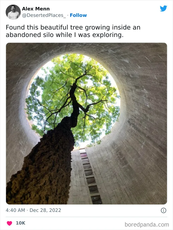 50 Of The Most Breathtaking Forgotten Places, As Shared By This Twitter Account