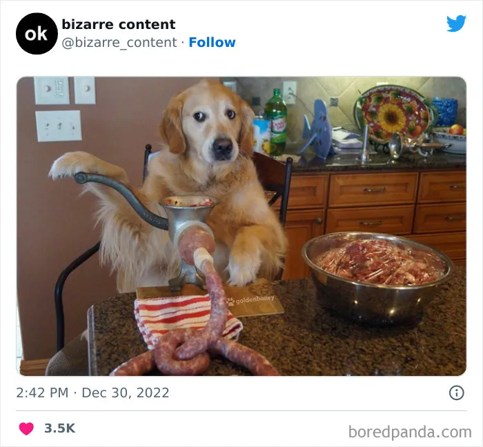 25 Publicaciones inexplicables que te dejarán perplejo