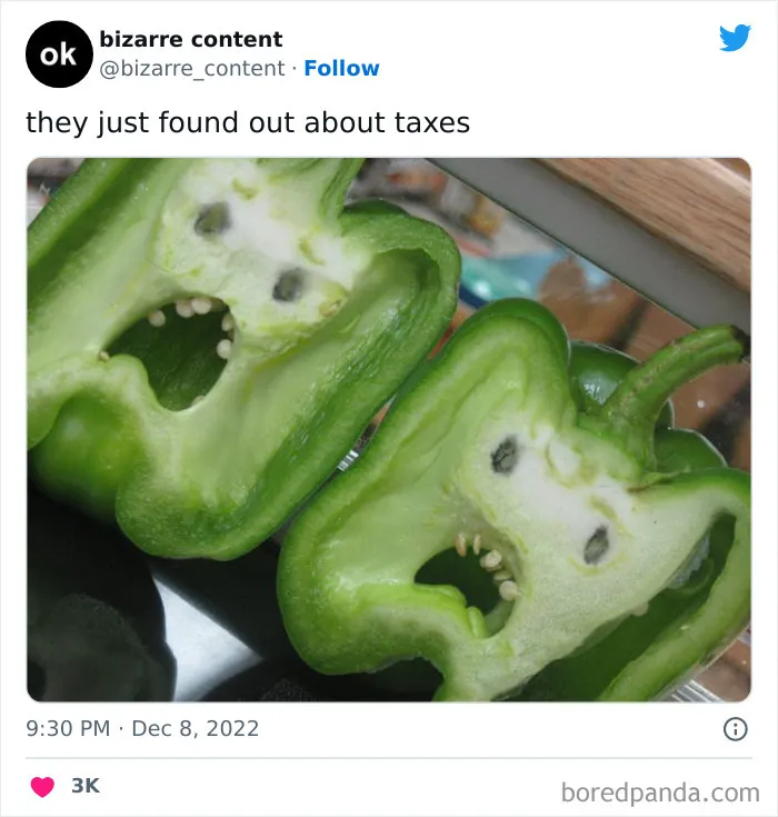 50 Unexplainable Posts From The “Bizarre Content” Twitter Page That Are Guaranteed To Baffle You