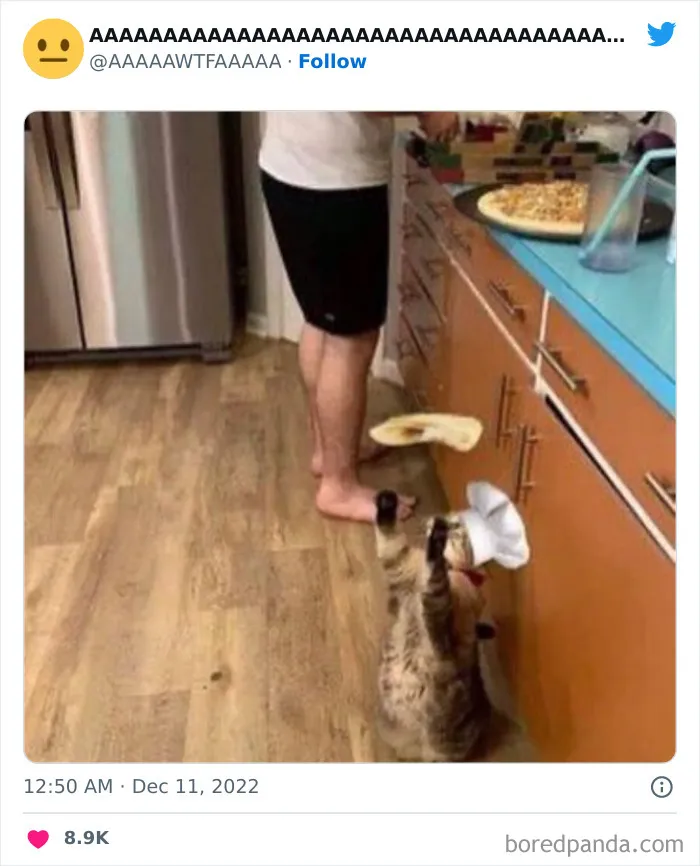 40 Random Pics From The Internet That Are So Weird They're Funny, As Shared On This Twitter Account