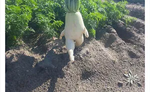 50 Unexplainable Posts From The “Bizarre Content” Twitter Page That Are Guaranteed To Baffle You