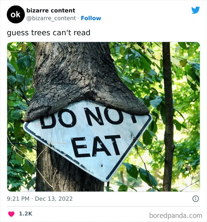 50 Unexplainable Posts From The “Bizarre Content” Twitter Page That Are Guaranteed To Baffle You