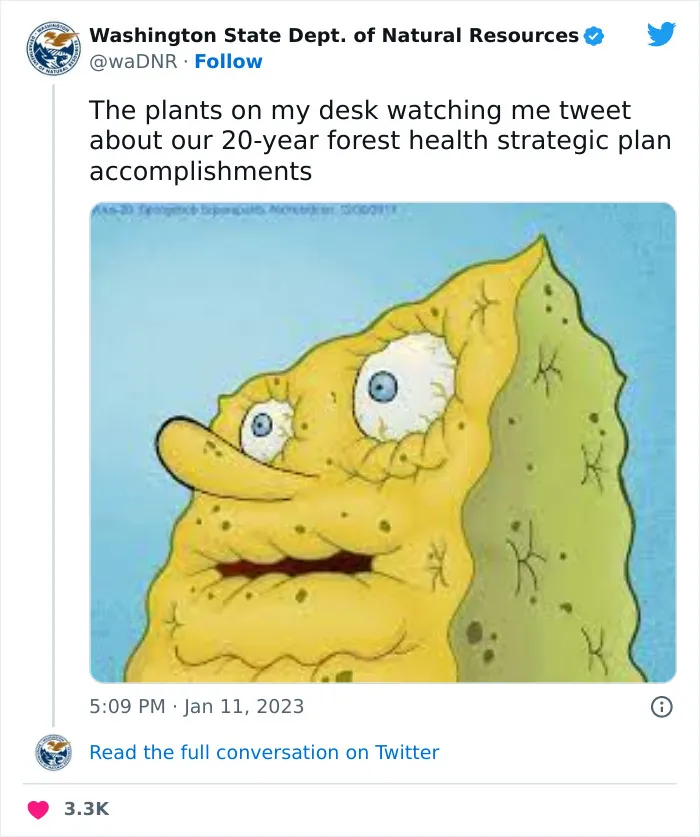 The Washington Department Of Natural Resources Twitter Has People In Stitches With These 41 Tweets