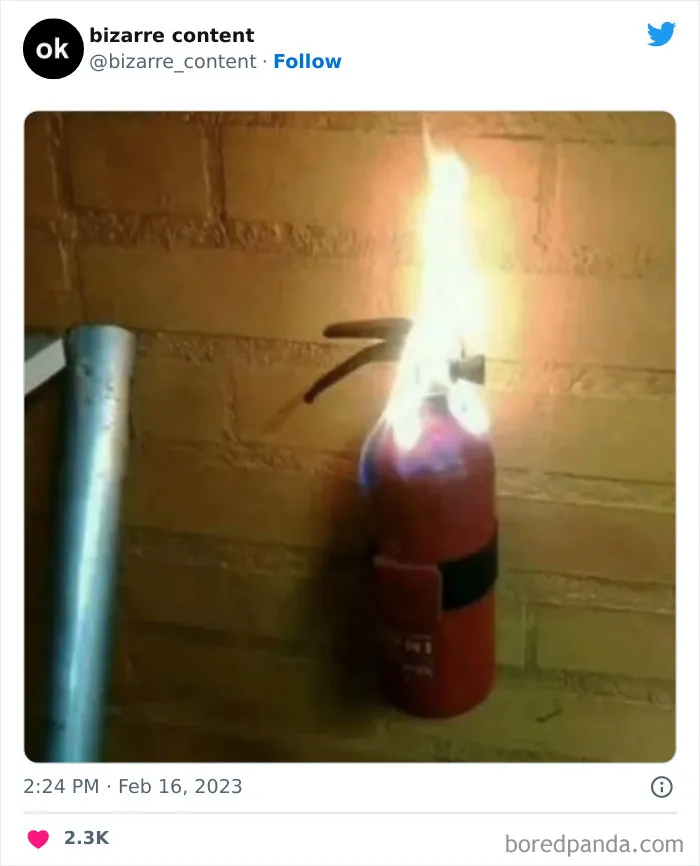 25 Publicaciones inexplicables que te dejarán perplejo