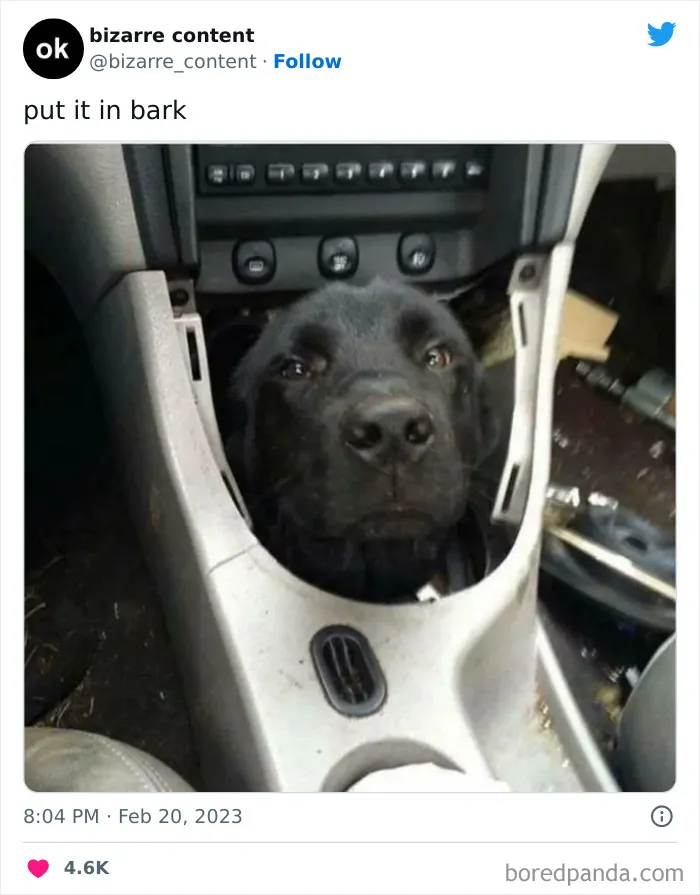 50 Unexplainable Posts From The “Bizarre Content” Twitter Page That Are Guaranteed To Baffle You