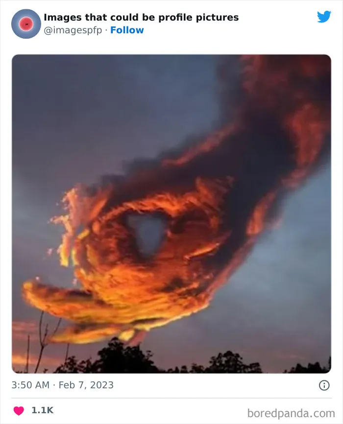 30 Of The Weirdest And Funniest Pics Shared On The "Images That Could Be Profile Pictures" Twitter Page