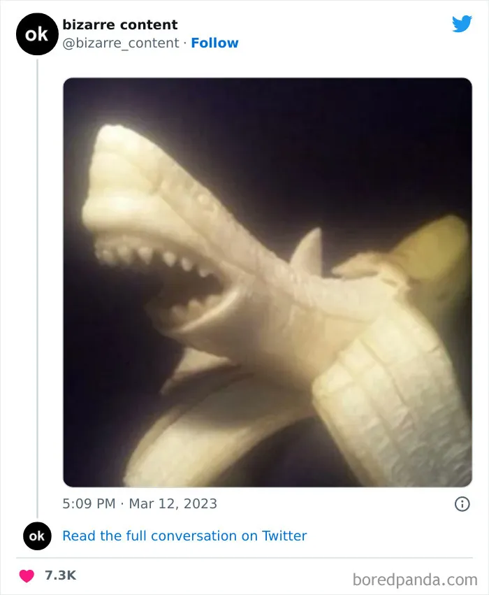 25 Publicaciones inexplicables que te dejarán perplejo
