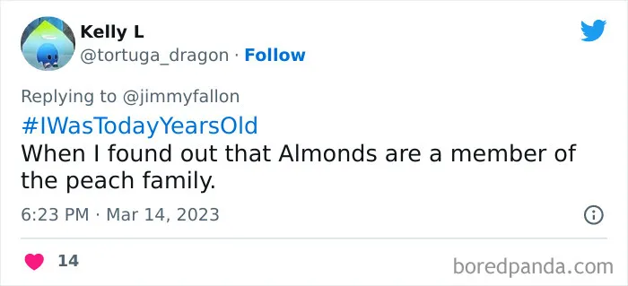 Jimmy Fallon Asks Fans To Tweet An Obvious Fact That Boggled Their Mind Once They Learnt Of It (40 Answers)