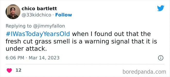 Jimmy Fallon Asks Fans To Tweet An Obvious Fact That Boggled Their Mind Once They Learnt Of It (40 Answers)