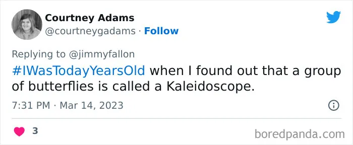 Jimmy Fallon Asks Fans To Tweet An Obvious Fact That Boggled Their Mind Once They Learnt Of It (40 Answers)