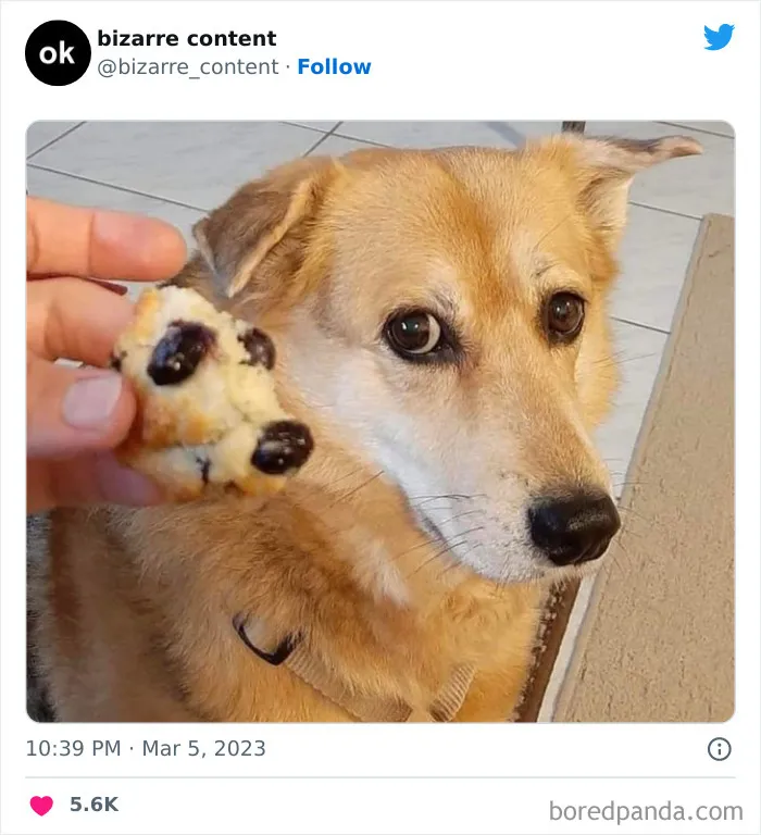 25 Publicaciones inexplicables que te dejarán perplejo
