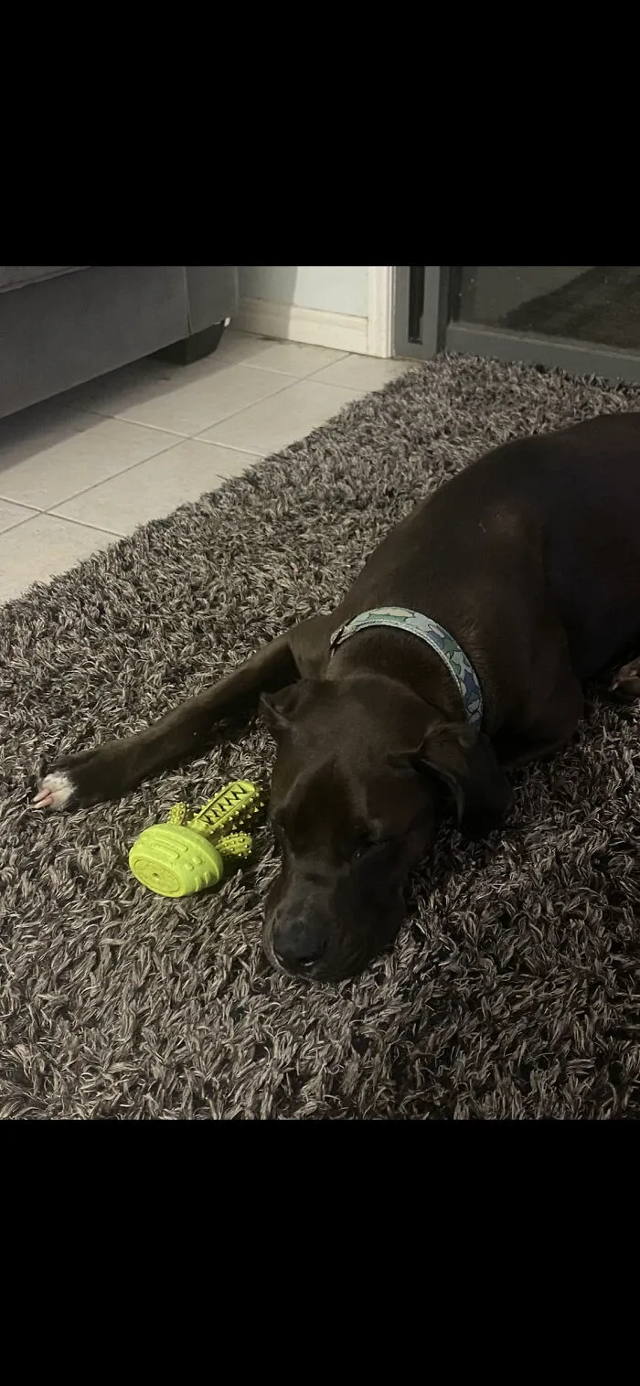 My Sleepy Boy