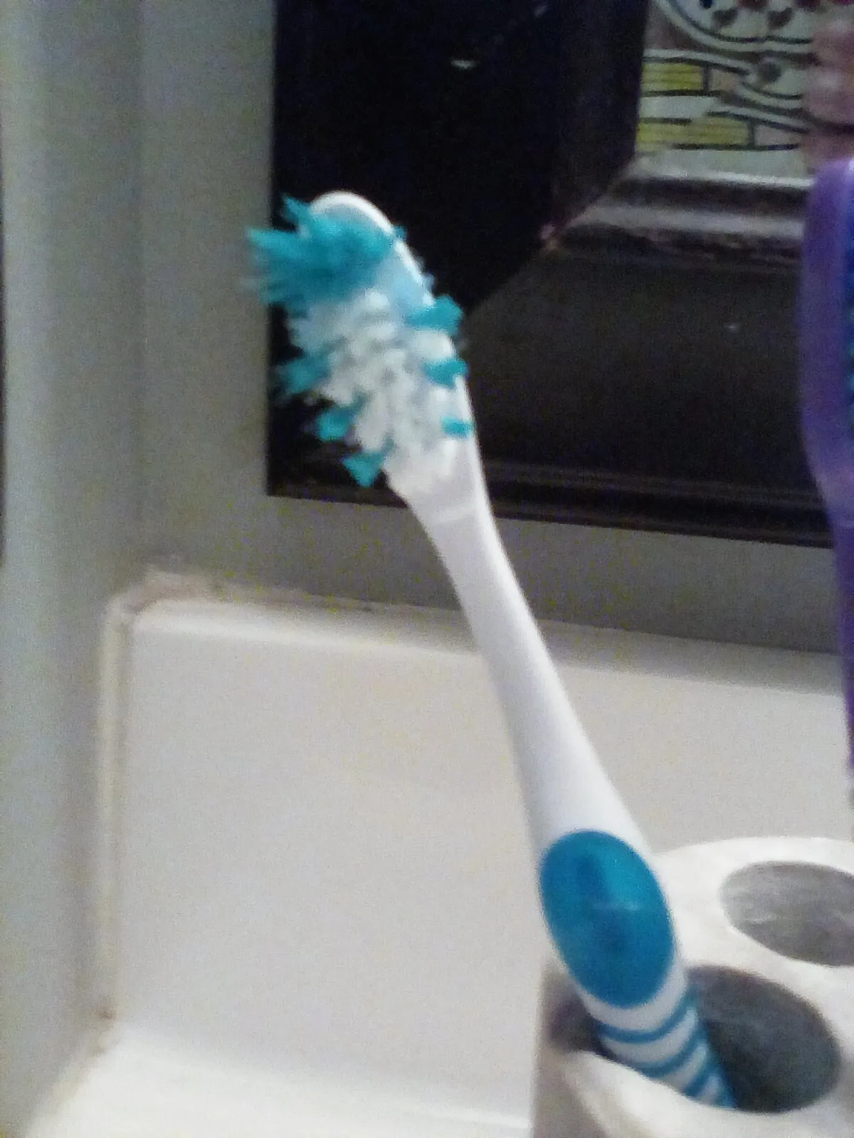 Weirdest Things People Have Or Saw In Their Houses