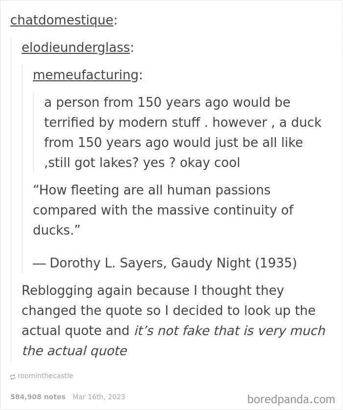 A Tumblr screenshot comparing human terrors with ducks, one of the silliest places on the internet.