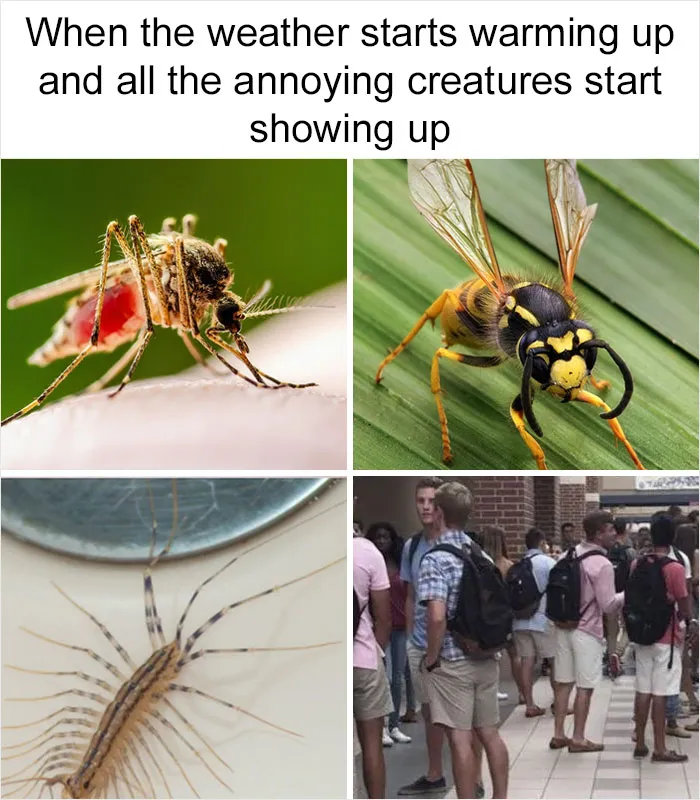 50 Memes That May Hit Too Close To Home For Any Introverts Out There, As Shared By This Instagram Account
