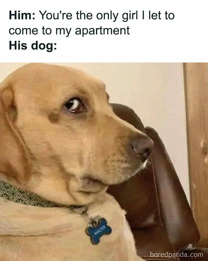 “This is Why I’m Single”: 50 Memes For People Who Can’t Seem To Find A Relationship