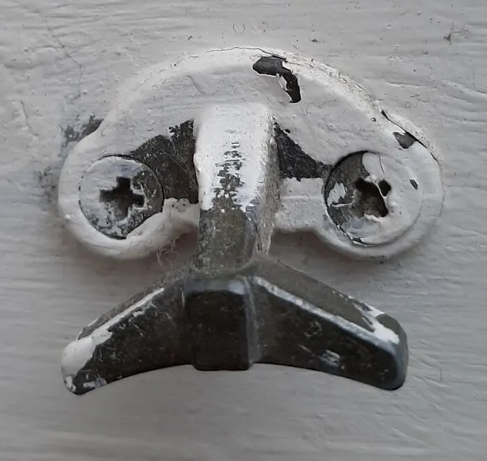 Mr. Moustache