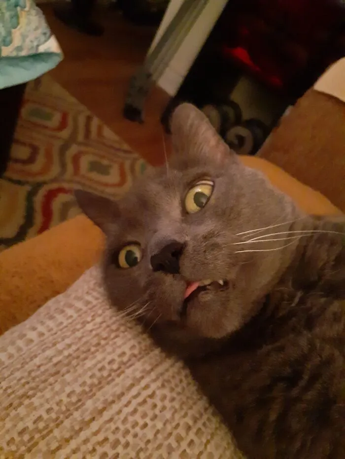 I Sat On The Sofa Next To Him And Woke Him Up