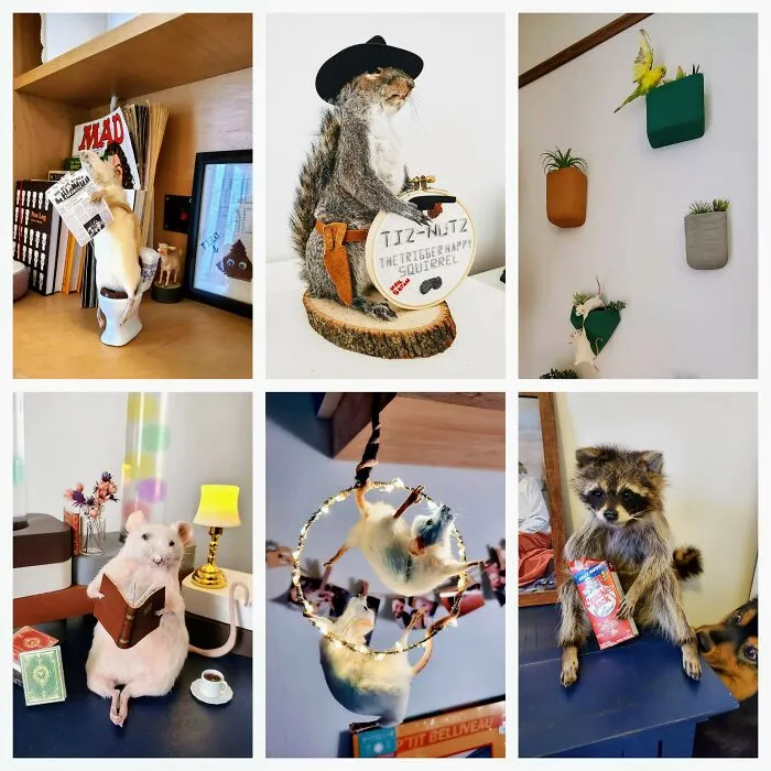 My Taxidermy Friends (^_^)