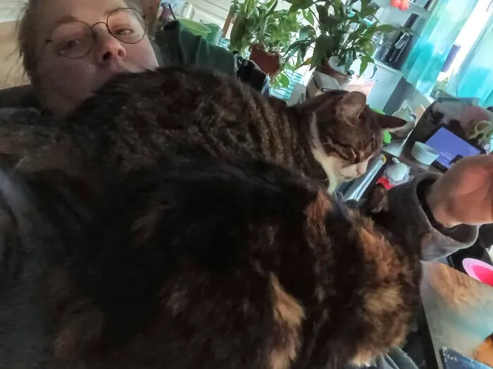 Flöckchen Und Arthas Love To Sleep On My Chest. Everyday For Almost Hours, If They Could