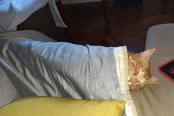 My Ginger Burrito...😴🥰