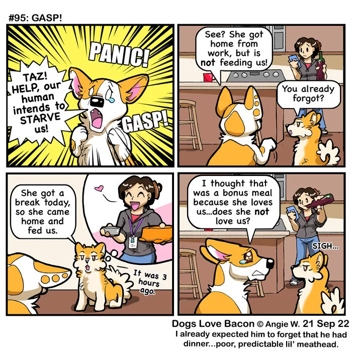 I Capture The Funny Reality Of Being A Dog Owner And Put It Into My Comics (25 New Pics)