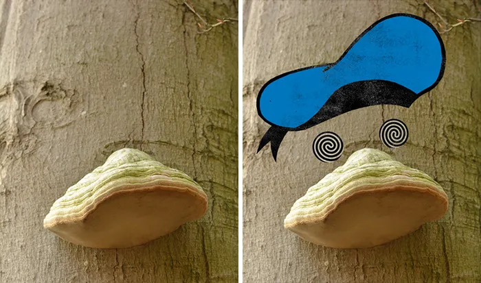 'Do You See What I See?': 40 Imaginative Illustrations That This Artist Created By Giving Life To Everyday Objects