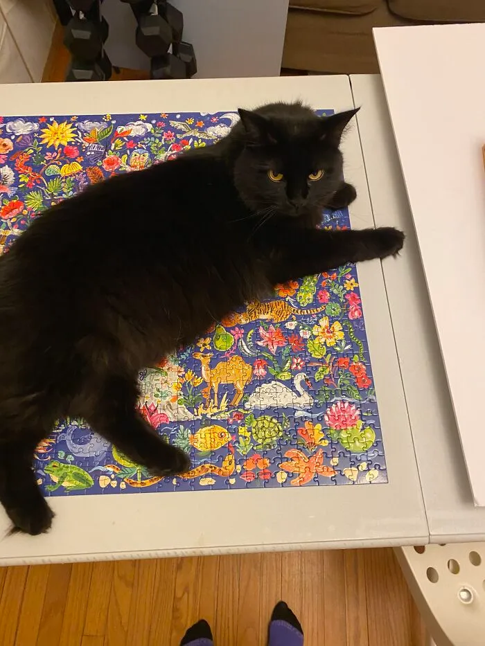 Here Are Some Photos Of My Pets To Hopefully Brighten Your Day (20 Pics)