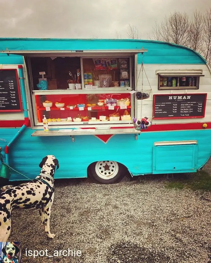 Treats For Humans And Their Fur Babies