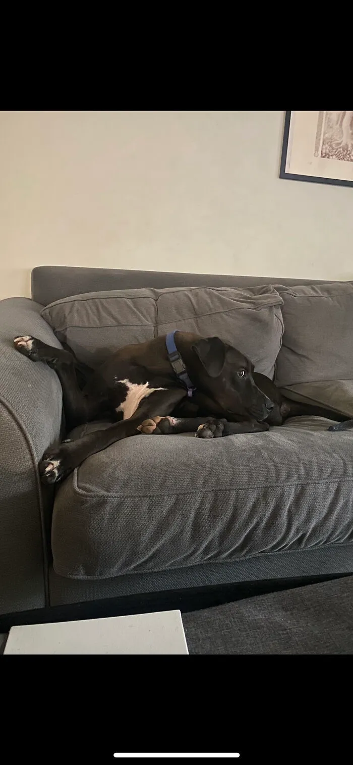This Is How He Sits Sometimes
