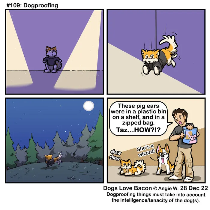 I Capture The Funny Reality Of Being A Dog Owner And Put It Into My Comics (25 New Pics)