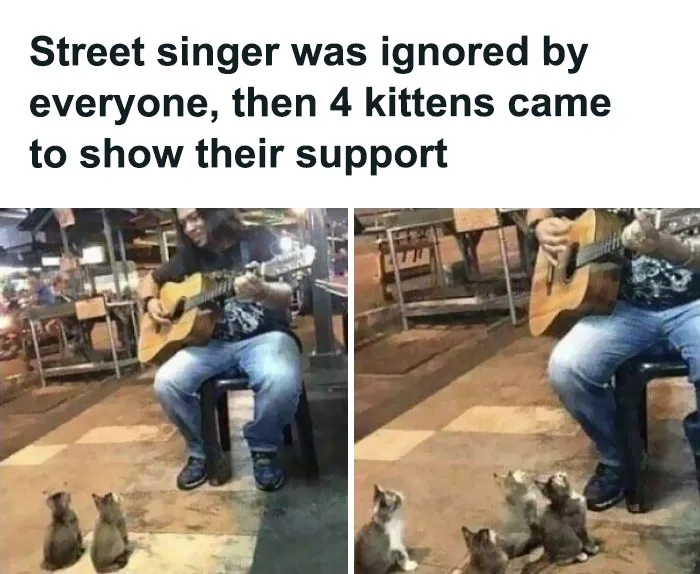 50 Funny And Wholesome Memes That Are Just Harmless, As Shared On "Respectful Memes" (New Pics)