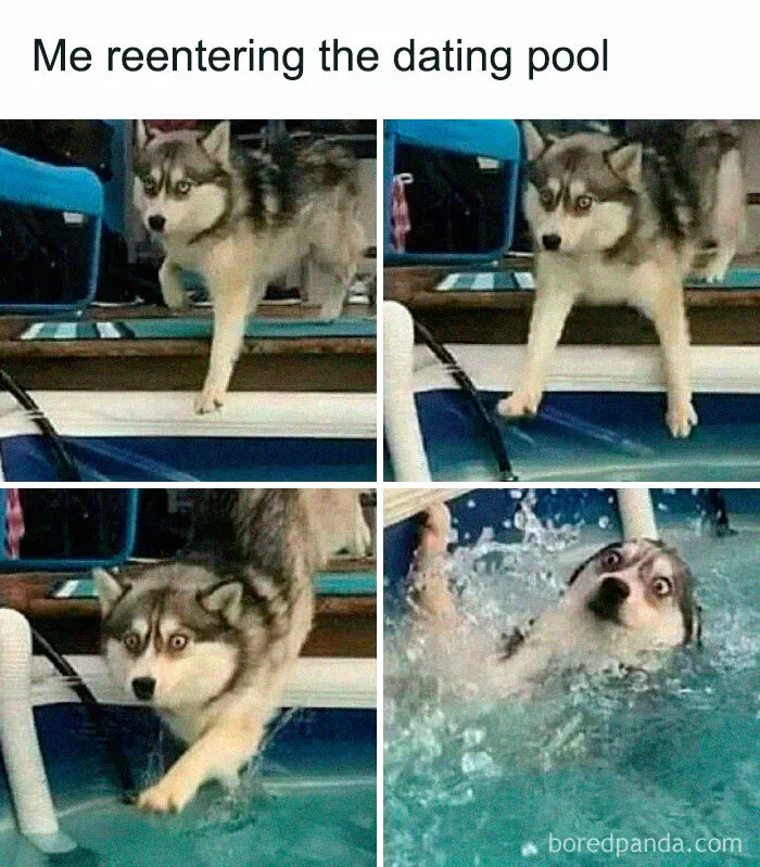 “This is Why I’m Single”: 50 Memes For People Who Can’t Seem To Find A Relationship