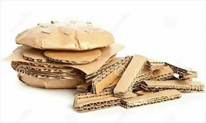 Vegan Food