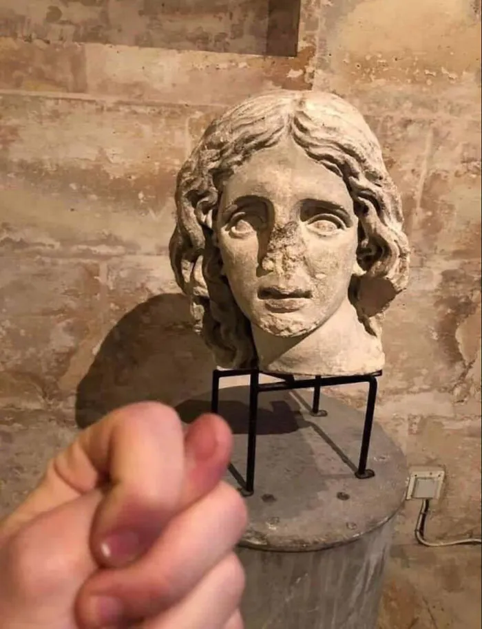 20 Memes muy respetables, divertidos y reconfortantes