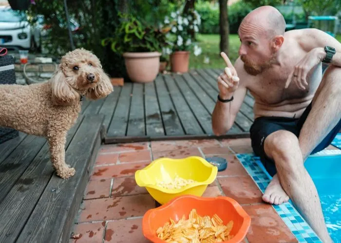 40 Honest Wedding Photos By Ian Weldon That Are As Funny As They Are Chaotic (New Pics)
