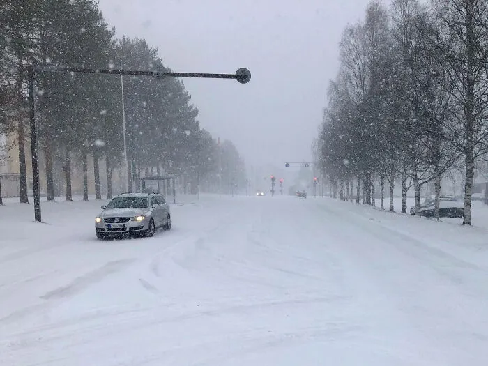 Wait What You Guy's Have Spring?