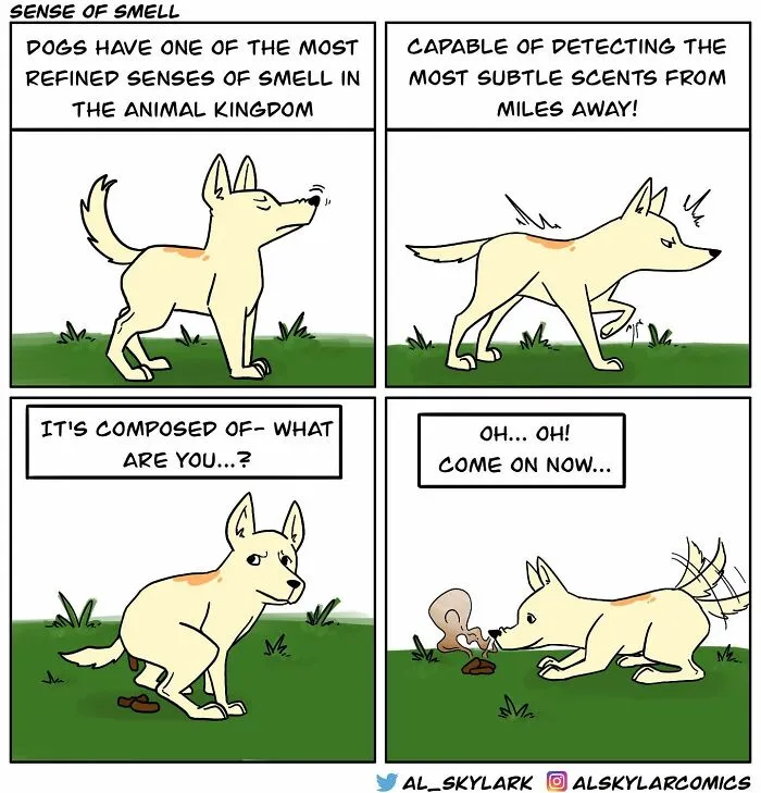 The Irony Of Everyday Life Captured In 21 Comics By This Artist That Many People Can Relate To