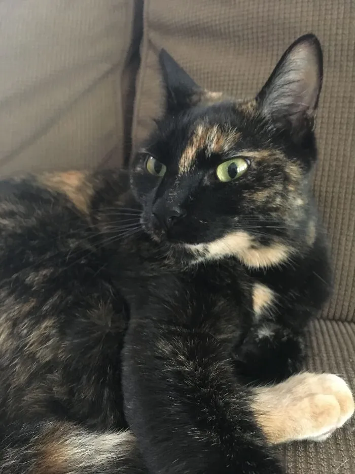 Here Are Some Photos Of My Pets To Hopefully Brighten Your Day (20 Pics)