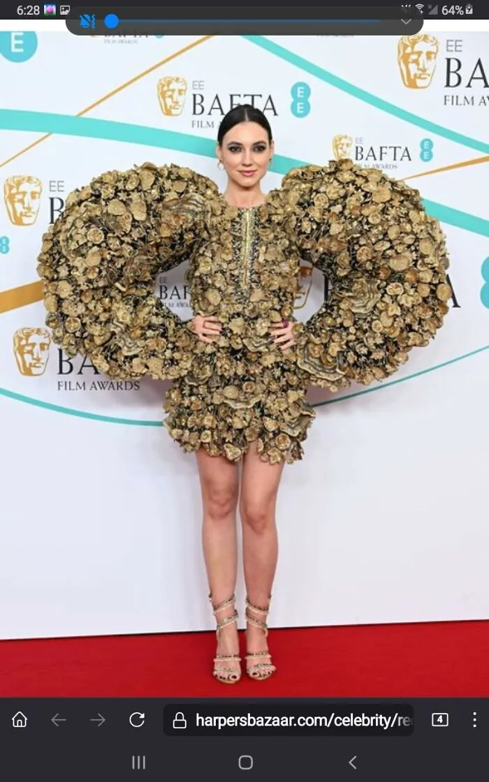 Shaming-Funny-Dress-Fashion