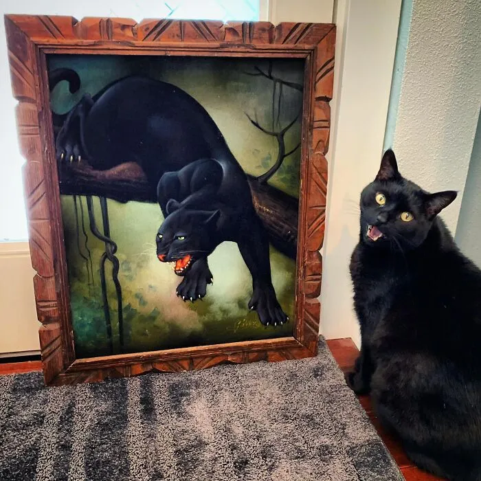 I Couldn’t Resist This Black Velvet Painting Of My Cat Phillip I Found While Thrifting Today