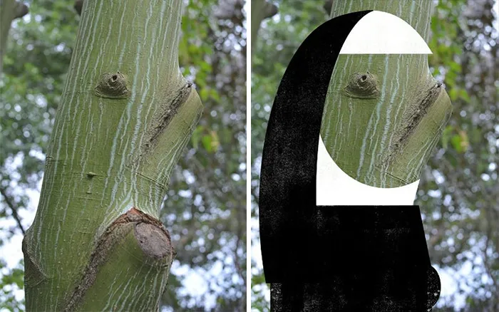 'Do You See What I See?': 40 Imaginative Illustrations That This Artist Created By Giving Life To Everyday Objects