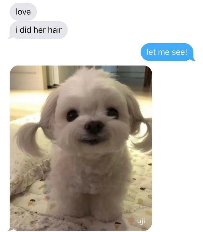 50 Funny And Wholesome Memes That Are Just Harmless, As Shared On "Respectful Memes" (New Pics)