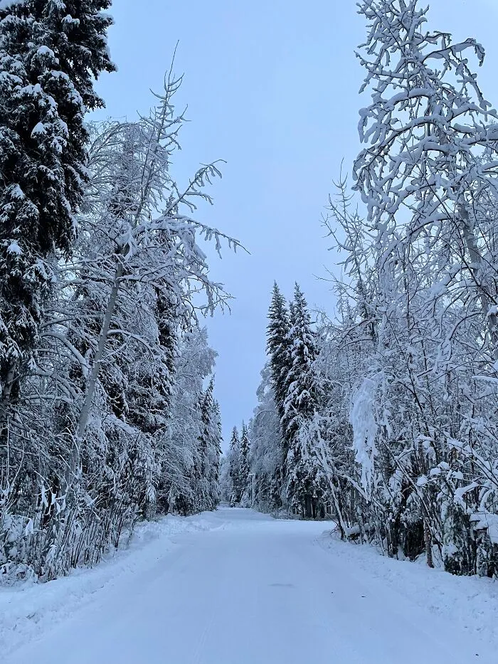 Ah, Yes, Spring