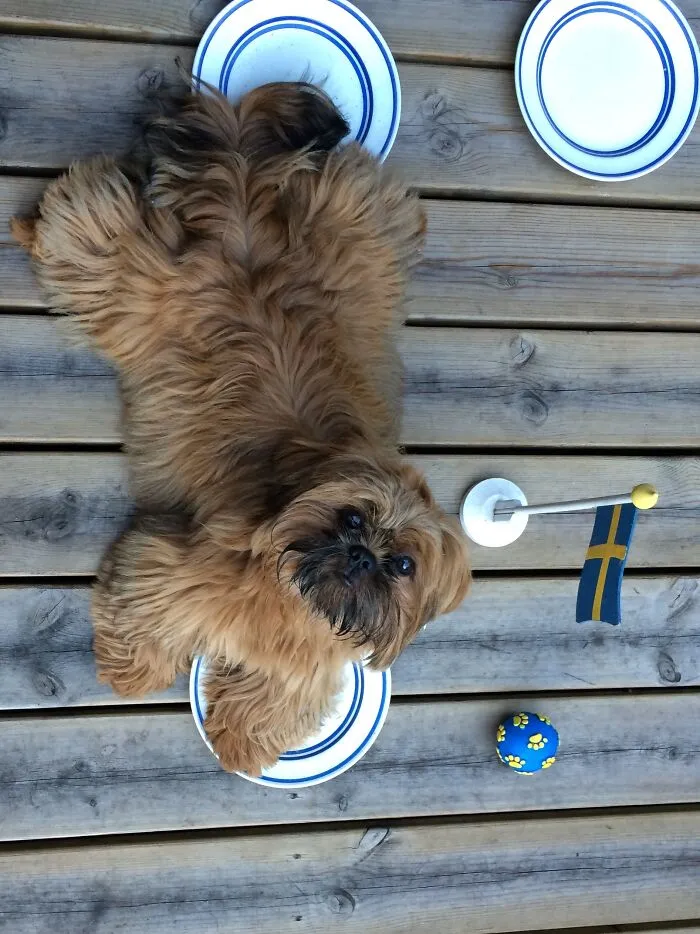 All Plates Are Mine
